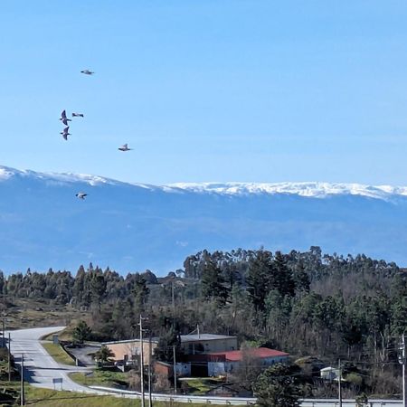 Casas Da Fraga - Serra Da Estrela Fornos de Algodres Exterior foto