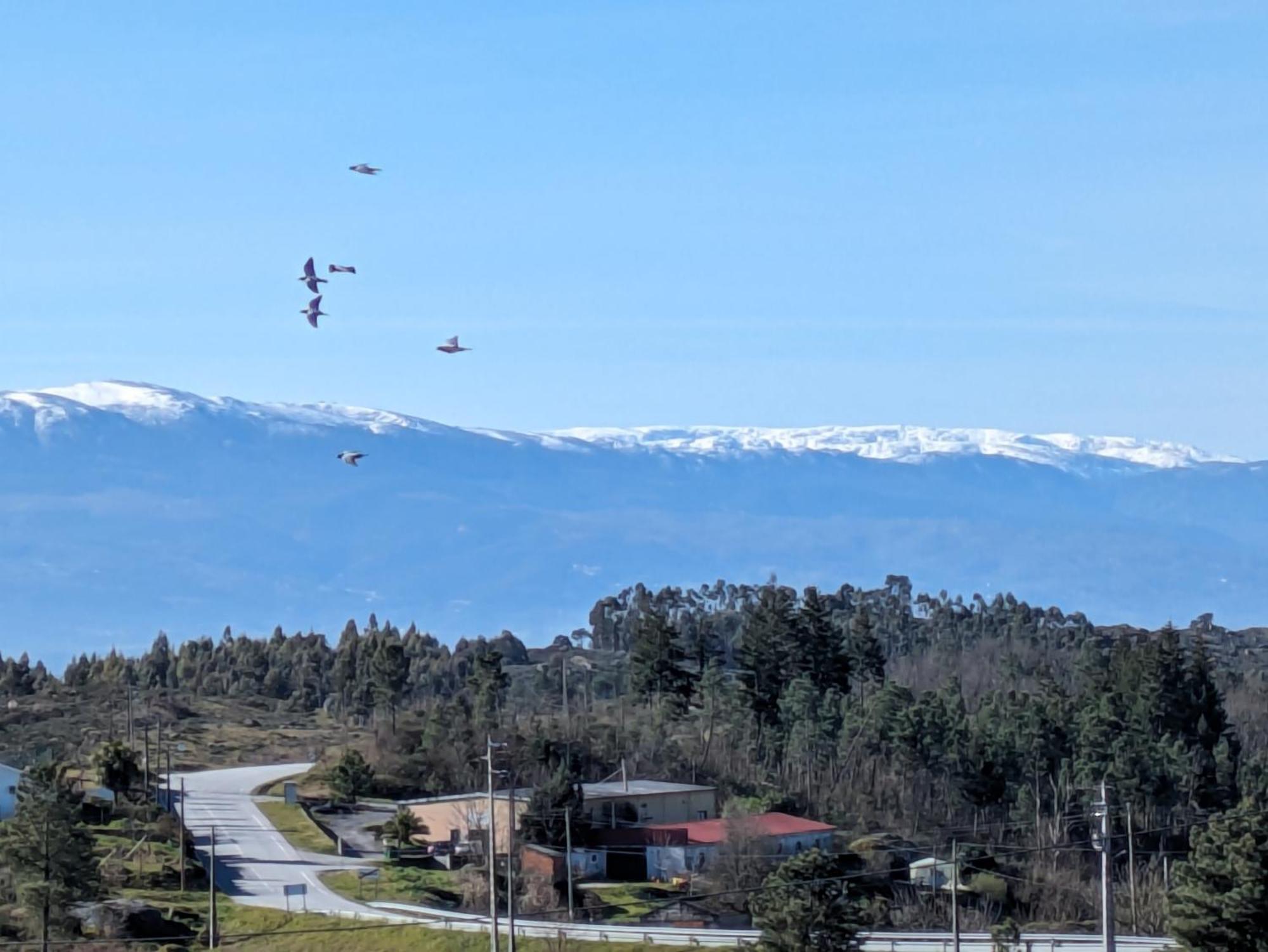 Casas Da Fraga - Serra Da Estrela Fornos de Algodres Exterior foto